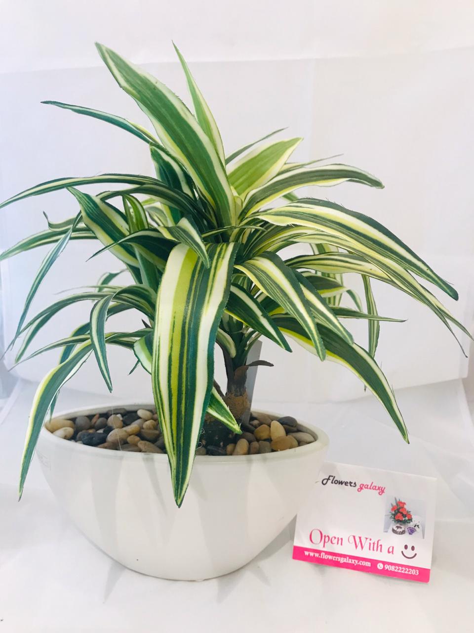 Artificial Plant with White Pot          